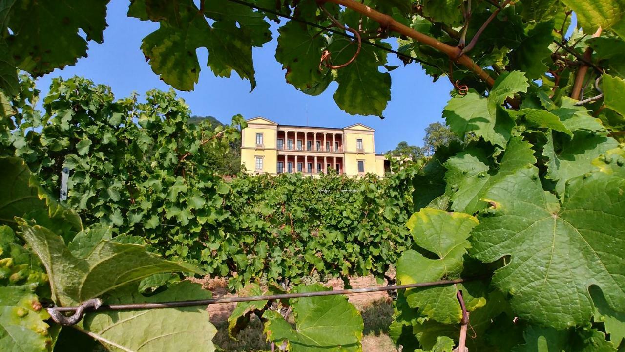 Ferienhaus Rauwolf Roschbach Exterior foto